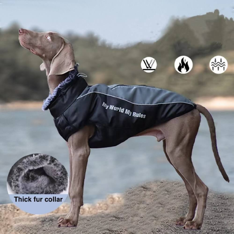 Dog Cool Funny Clothes For Large Dog Pet Jacket Plus Velvet Thickening Waterproof Warm