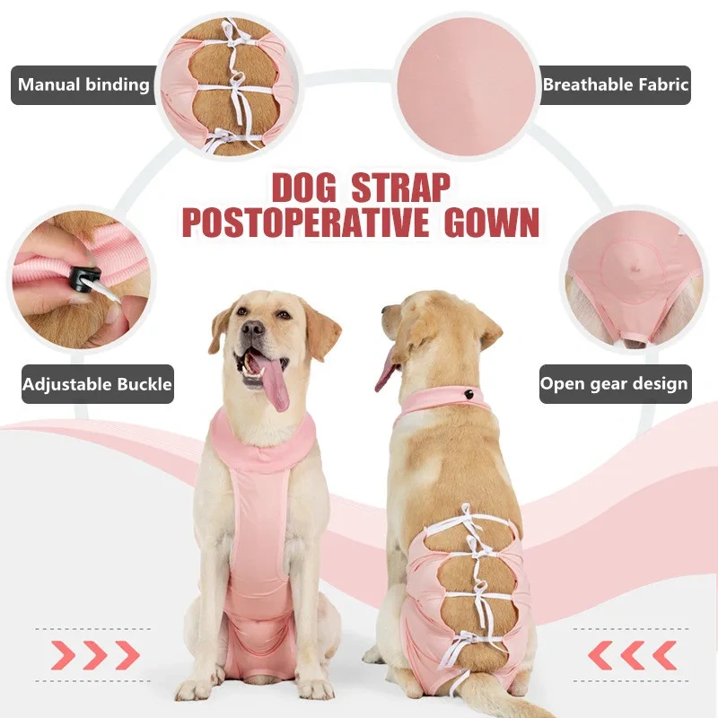 Bule/Pink Color New Design Pet Accessories Waterproof Pets Apron Adjustable Female Male Dog Vest new product ideas 2024 amazon
