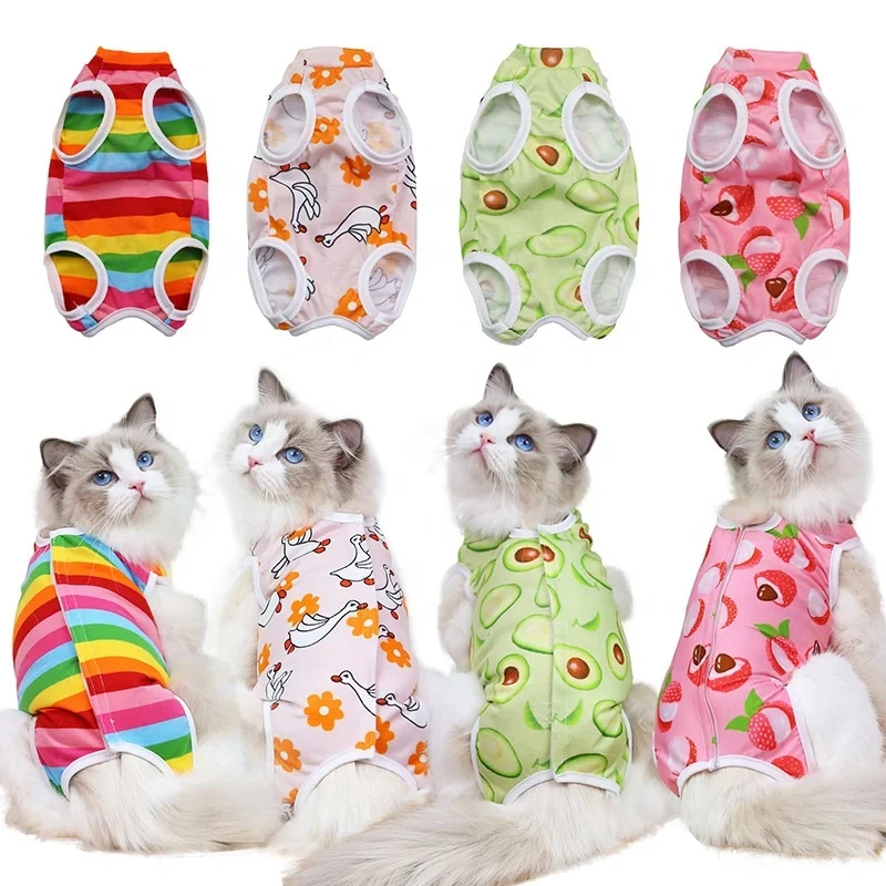 Customized Pet Hospital Gown Harness Cat Neuter Suit For Cat Sterilization Operation With Pet Accessories