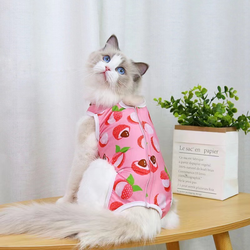 Pet Hospital Gown Harness Cat Neuter Suit For Cat Sterilization Operation With Pet Accessories