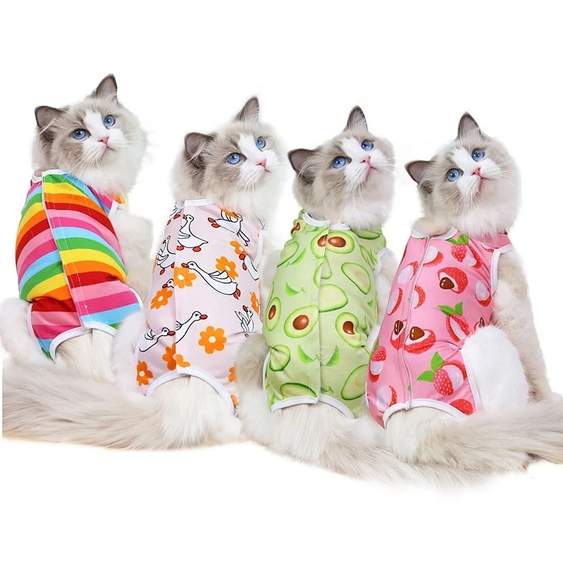 Customized Pet Hospital Gown Harness Cat Neuter Suit For Cat Sterilization Operation With Pet Accessories