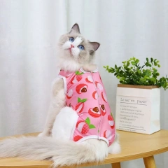 Customized Pet Hospital Gown Harness Cat Neuter Suit For Cat Sterilization Operation With Pet Accessories