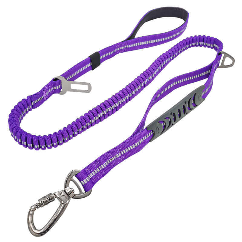 Most popular reflective anti-explosion and anti-escape large hook car-mounted dog leash for medium and large dogs