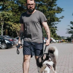 Manufacturers Oem Custom Double Handle Pet Dog Seat Belt Heavy Duty Long Reflective Bungee Pet Leashes Multifunction Dog Leash