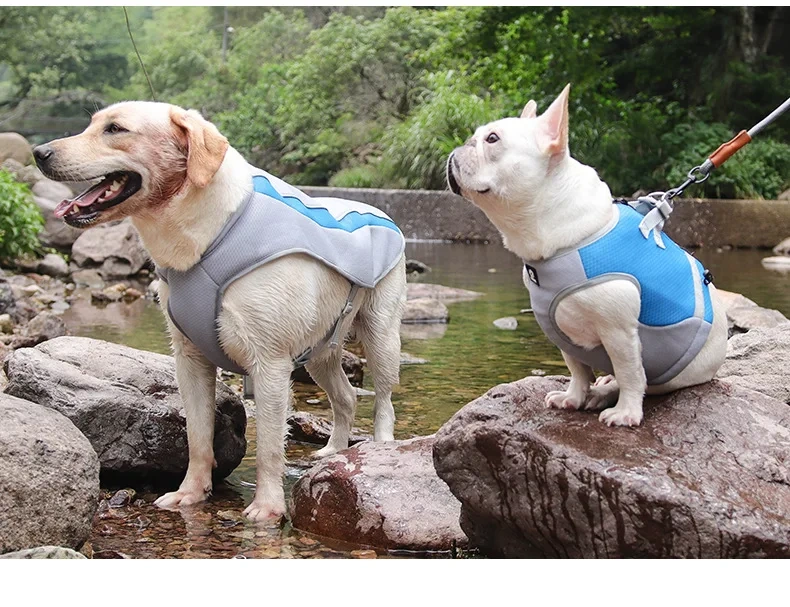 Breathable Mesh Ice Dog Cooling Vest Adjustable Dog Cooler Jacket for Summer Outdoor Activity  cooling vest for dogs