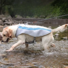 Breathable Mesh Ice Dog Cooling Vest Adjustable Dog Cooler Jacket for Summer Outdoor Activity  cooling vest for dogs