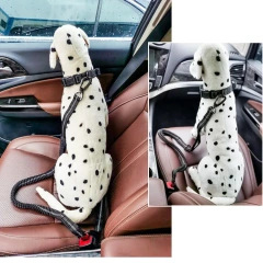 Manufacturers Oem Custom Double Handle Pet Dog Seat Belt Heavy Duty Long Reflective Bungee Pet Leashes Multifunction Dog Leash