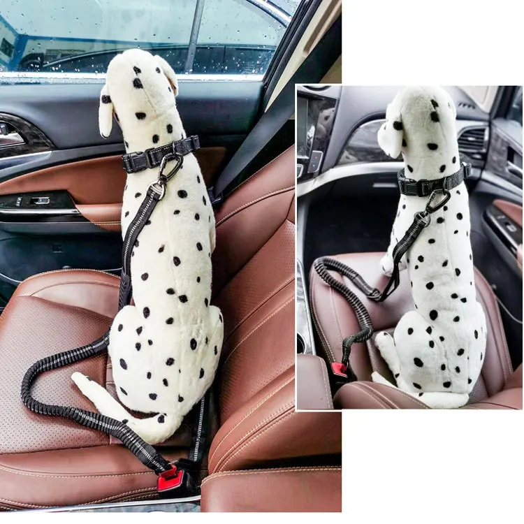 Manufacturers Oem Custom Double Handle Pet Dog Seat Belt Heavy Duty Long Reflective Bungee Pet Leashes Multifunction Dog Leash