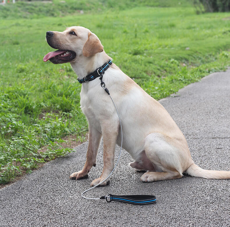 Anti-bite steel wire core dog leash