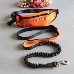 Fanny pack running two-piece pet leash
