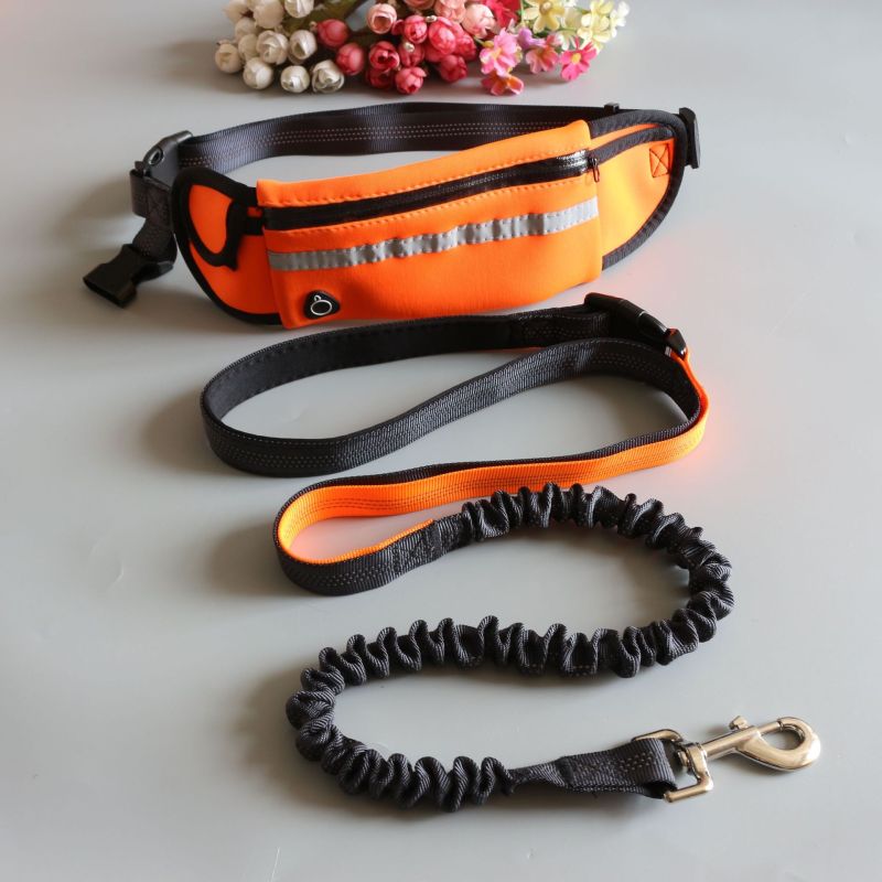 Fanny pack running two-piece pet leash