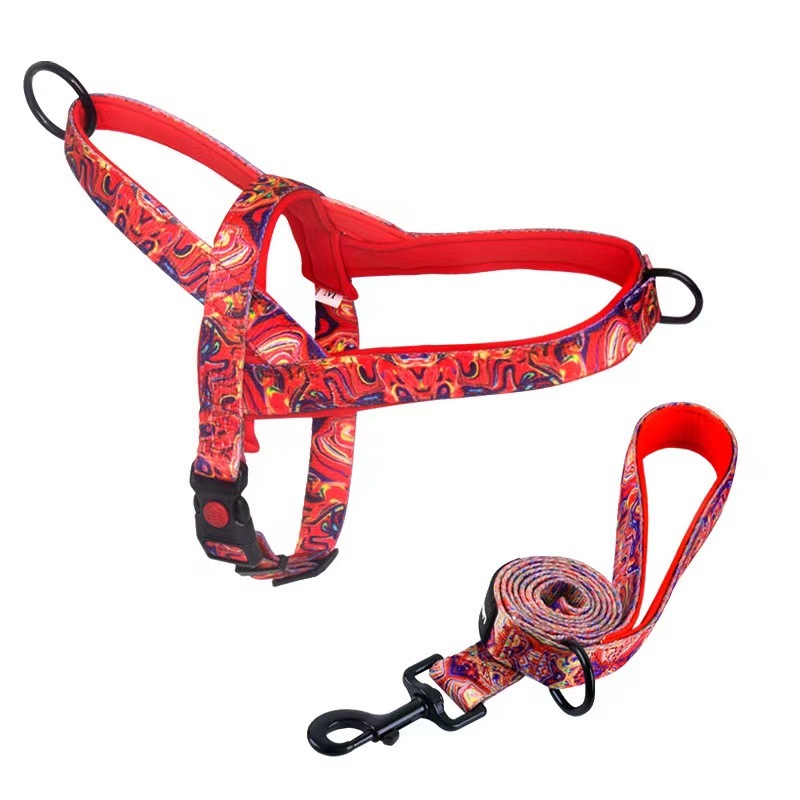 Dog Harness and Leash set Nylon Medium Large Dog Harnesses  Leash Padded Pet Pitbull Vest Durable Adjustable