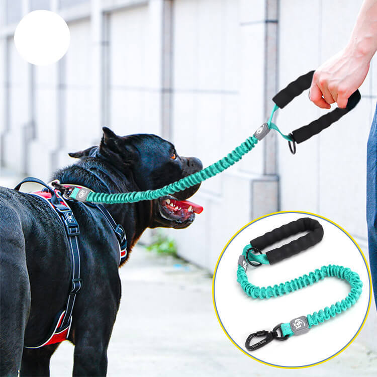 Manufacturer Wholesale pet leash Reflective Customized Training Soft Handle Elastic Bungee Dog Leash
