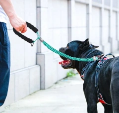 Manufacturer Wholesale pet leash Reflective Customized Training Soft Handle Elastic Bungee Dog Leash