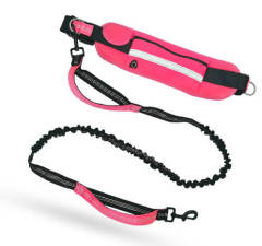 Explosion-proof running leash with waist bag.