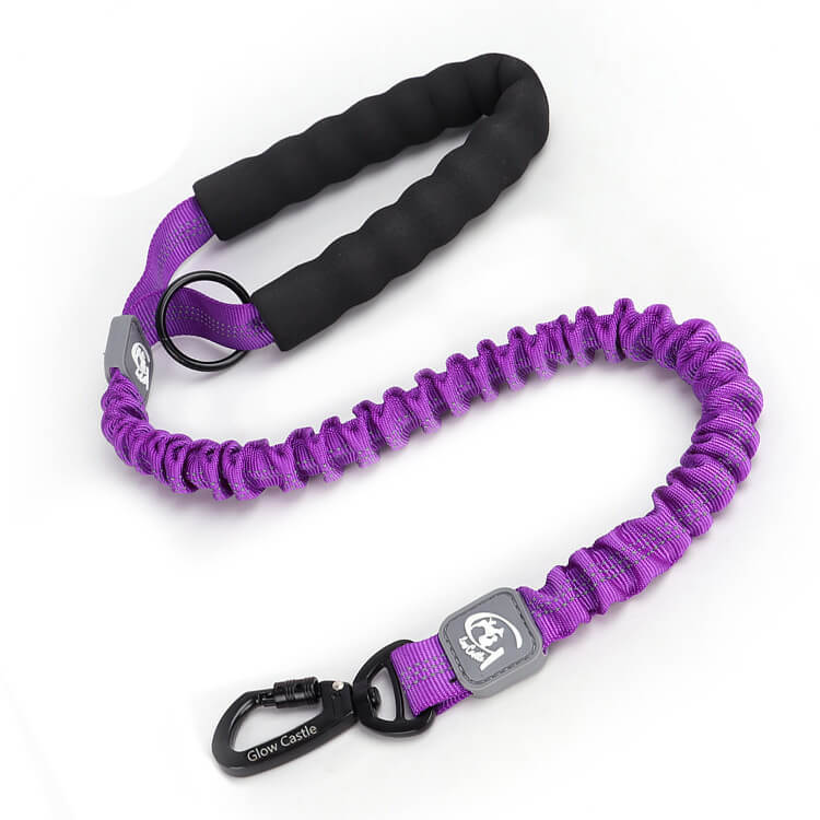 Manufacturer Wholesale pet leash Reflective Customized Training Soft Handle Elastic Bungee Dog Leash