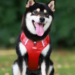 Wholesale Factory Newest Pet Harness Stocked Durable Reflective dog harnesses with padded vest