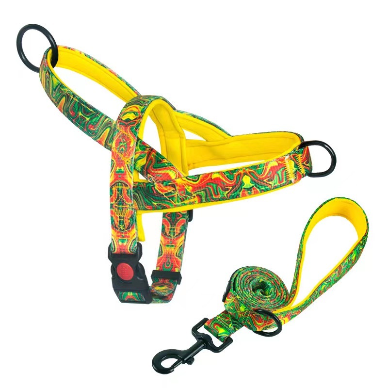 Dog Harness and Leash set Nylon Medium Large Dog Harnesses  Leash Padded Pet Pitbull Vest Durable Adjustable