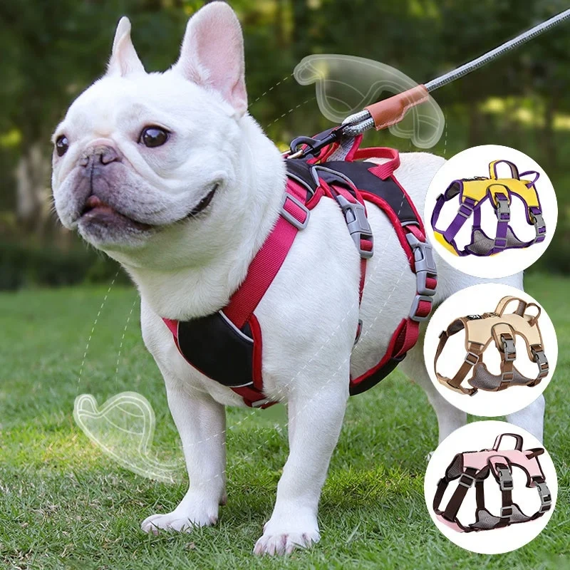 Dog Leash Medium Durable And Breathable Dog Harness