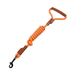 Nylon reflective dog leash, explosion-proof pet dog leash