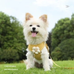 Wholesale  New Adjustable Soft Dog Cat Harness Set with Flower for Pets
