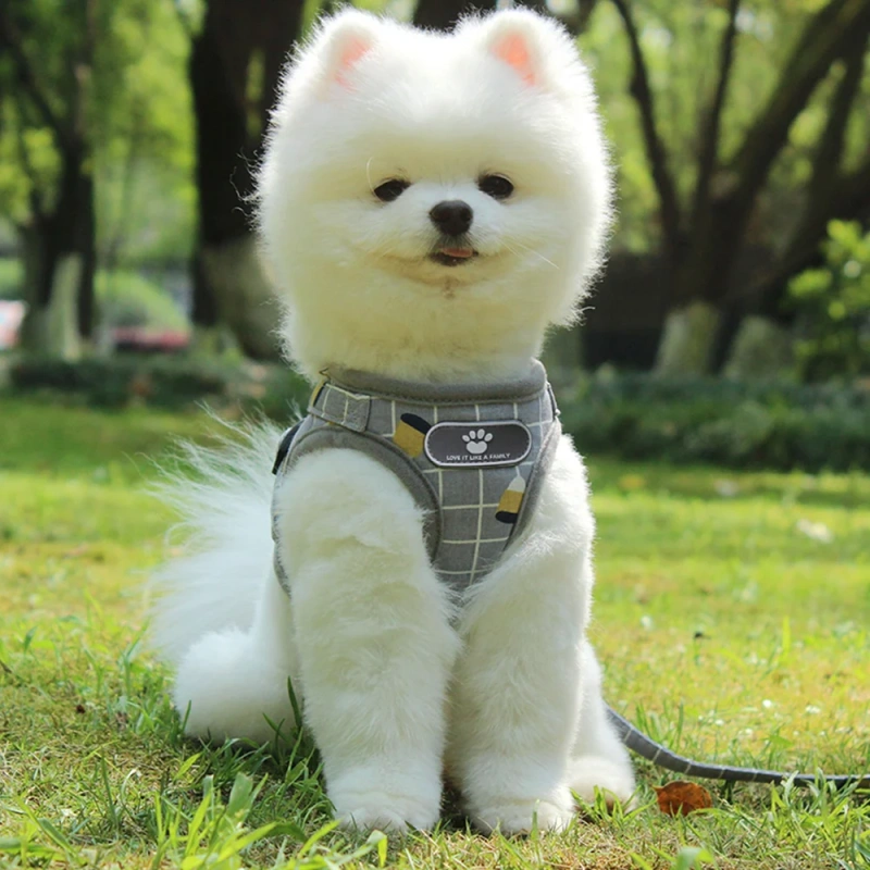 Hot Selling Custom Nylon Reflective Mesh Harness With Leash Pet Dog Harness Vest cat leash