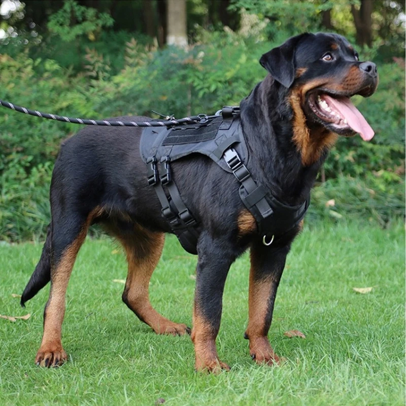 Wholesale Portable Firm Can Hold Water Large Pet Dog Harness Oxford Cloth Chest Strap