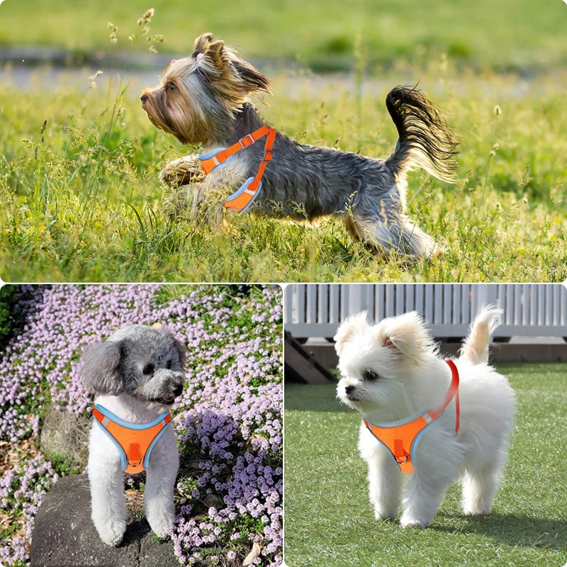 Wholesale Adjustable No Pull Durable Reflective Soft Dog Harnesses And Puppy Harness With Leashes Set