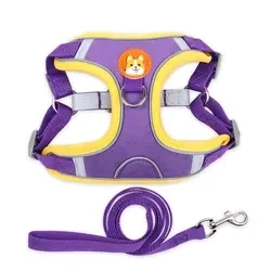 Manufacturer price dog harness and leash can be washed