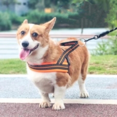 Soft Vest  Neck Chest Adjustable Reflective Light weight Harness Anti-Twist Pet Lead Combo Dog Collar Leash And Harness Set