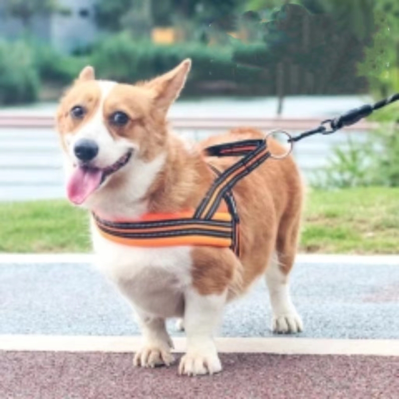 Soft Vest  Neck Chest Adjustable Reflective Light weight Harness Anti-Twist Pet Lead Combo Dog Collar Leash And Harness Set