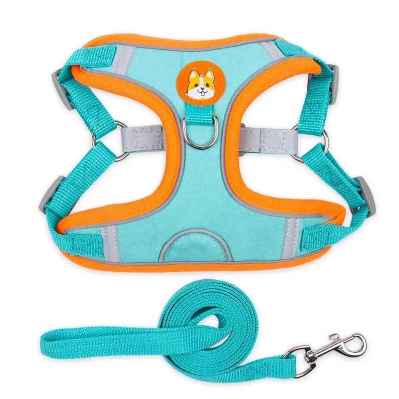 Manufacturer price dog harness and leash can be washed