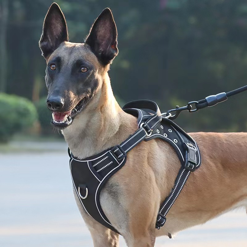 New medium and large dogs outdoor large dog chest strap anti - break traction corns tactics chest back