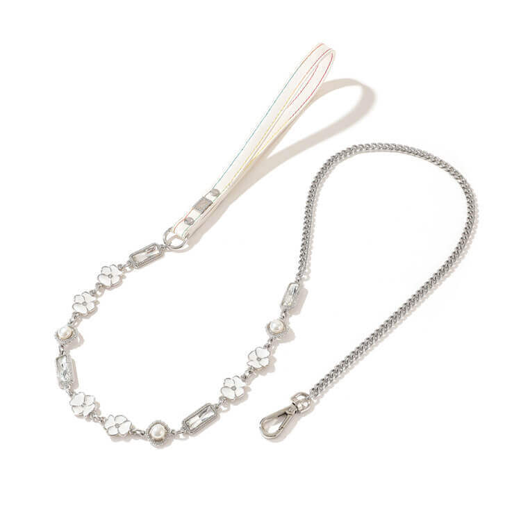 Pet supplies Amazon cross-border new dog leash small and medium dog chain dog chain wholesale lead rope