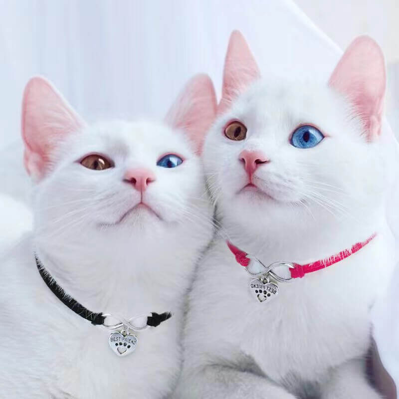 New Love Pet Jewelry