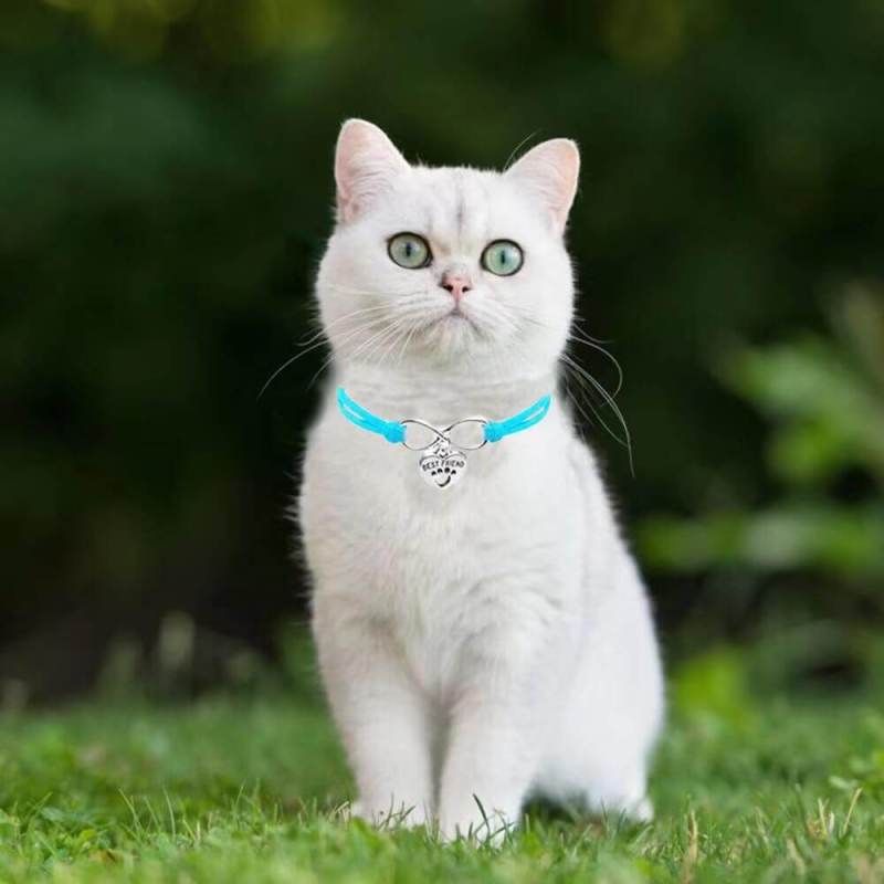 New Love Pet Jewelry