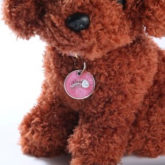 Round fishbone cat and dog tag leash accessories