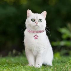 New rhinestone heart-shaped necklaces for pet dogs and cat crystal collars