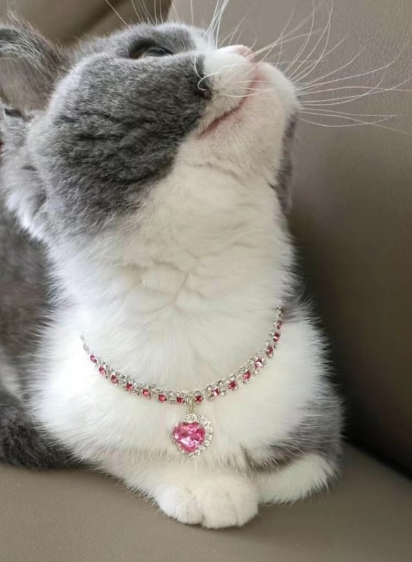 Rhinestone Rhinestone Jewelry Collar