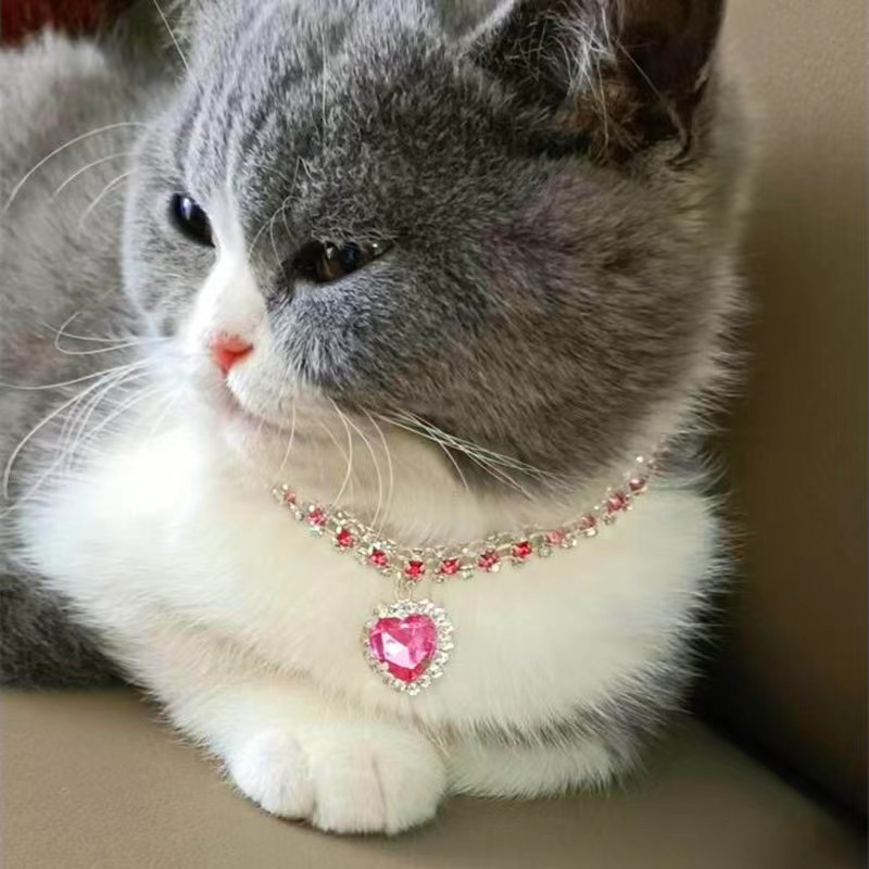 Rhinestone Rhinestone Jewelry Collar