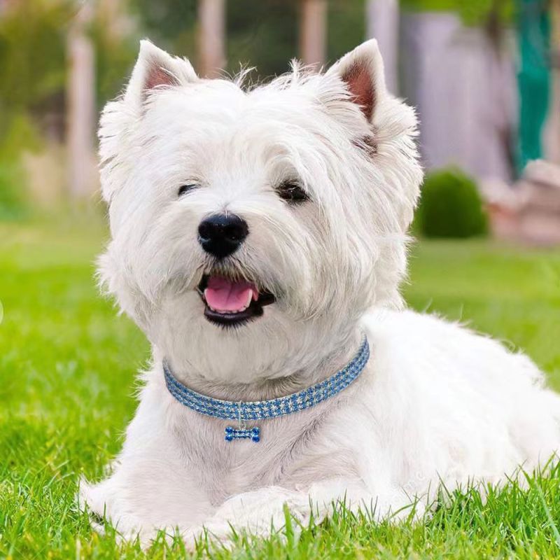 pet crystal elastic necklace