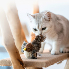 Gigwi Interactive Electronic Cat Toy, Automatic Chirping Bird Toy
