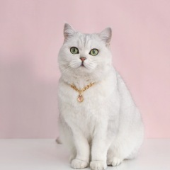 Pet Metal Chain Opal Necklace Adjustable