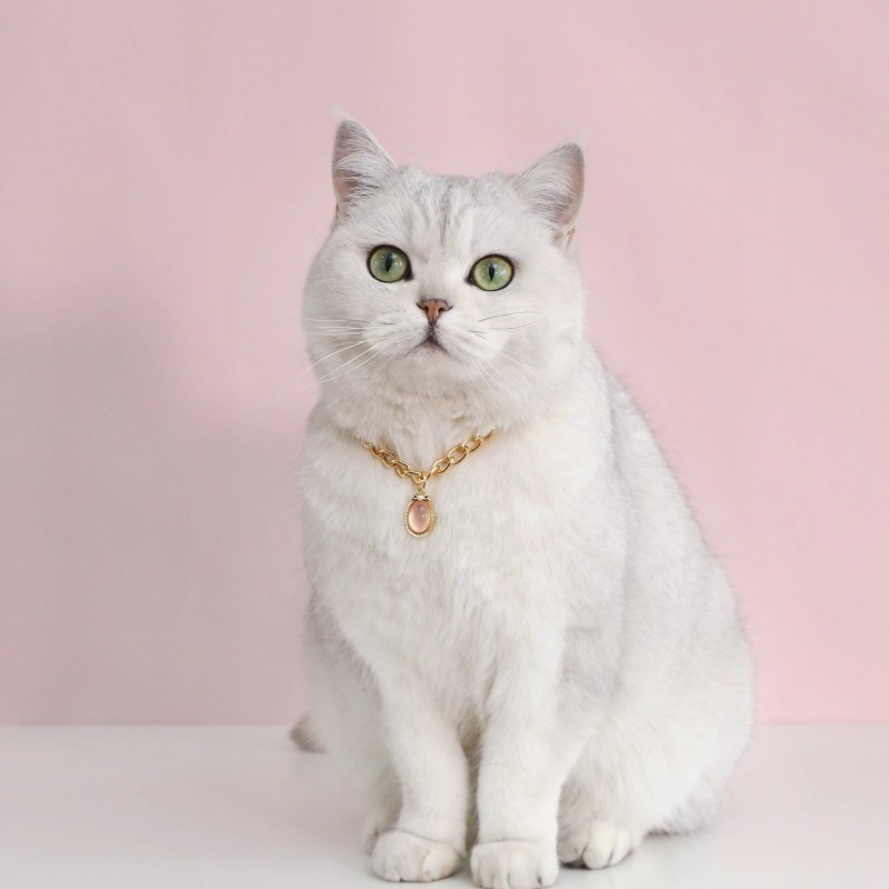 Pet Metal Chain Opal Necklace Adjustable