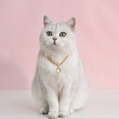 Pet Metal Chain Opal Necklace Adjustable