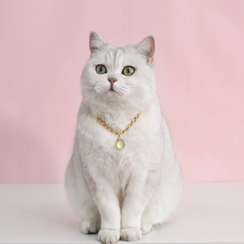 Pet Metal Chain Opal Necklace Adjustable