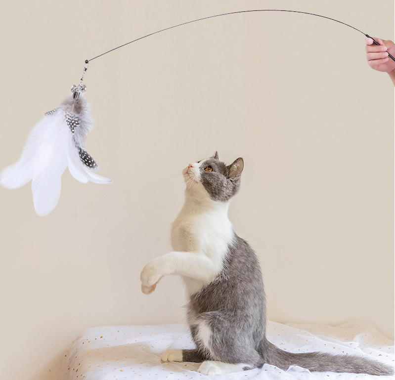Self-entertainment suction cup feather cat teaser, feather bell cat teaser