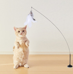Self-entertainment suction cup feather cat teaser, feather bell cat teaser