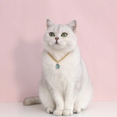 Pet Metal Chain Opal Necklace Adjustable