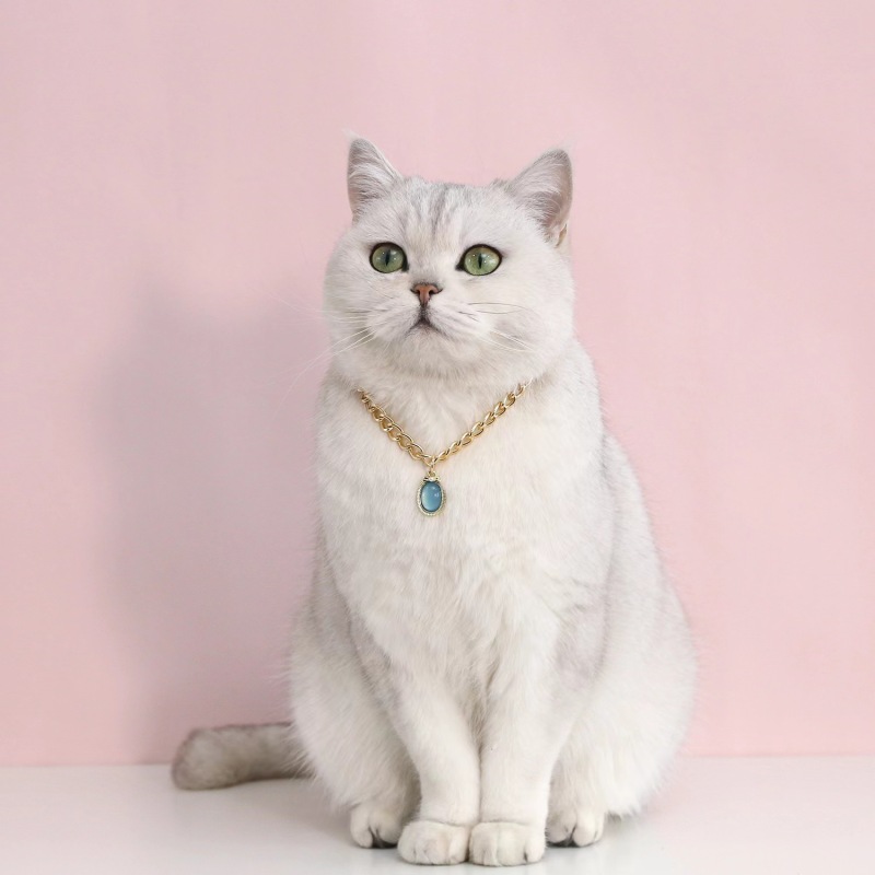 Pet Metal Chain Opal Necklace Adjustable